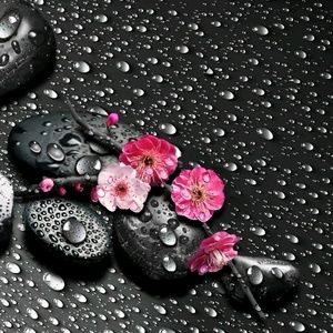 Meet your Posher, Valentina